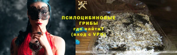 индика Михайловск
