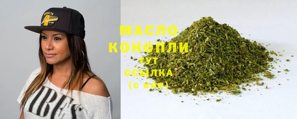 индика Михайловск