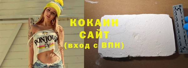 индика Михайловск