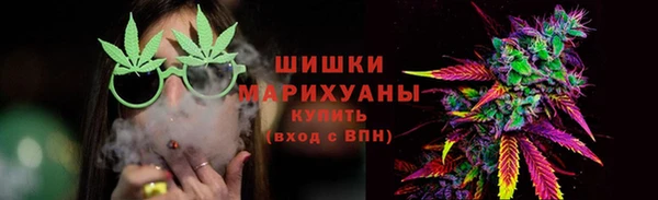 индика Михайловск