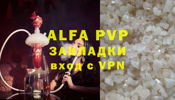 индика Михайловск
