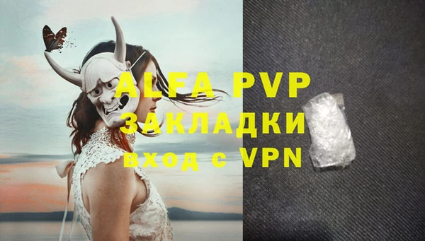 индика Михайловск