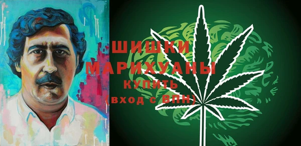 индика Михайловск