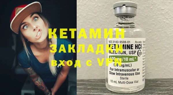 индика Михайловск