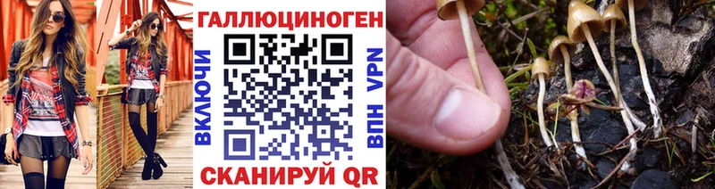 Галлюциногенные грибы GOLDEN TEACHER  Курчатов 