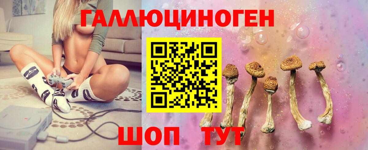 Псилоцибиновые грибы GOLDEN TEACHER Курчатов
