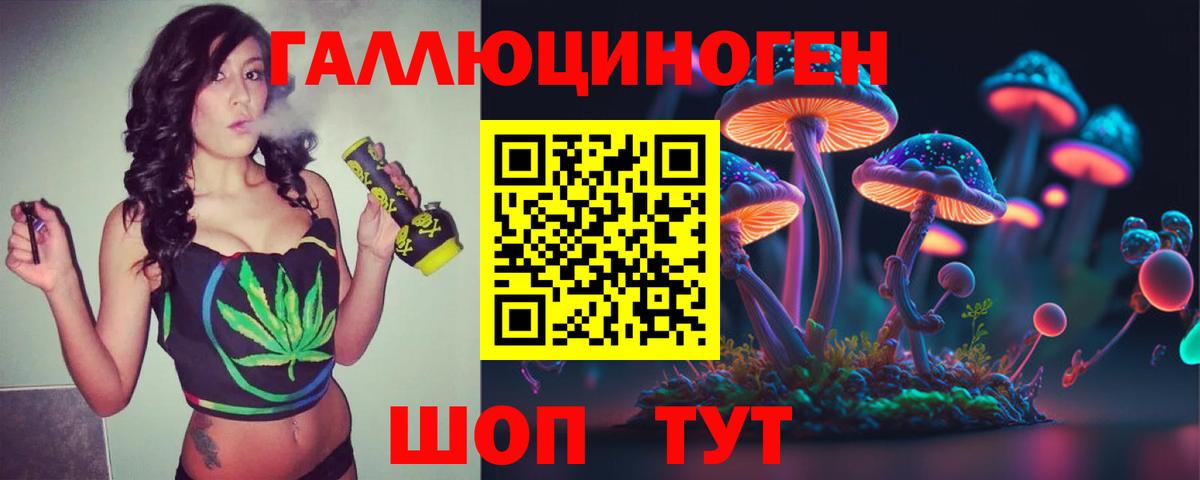 Псилоцибиновые грибы Cubensis  Галлюциногенные грибы мухоморы  Курчатов  Вход с VPN 